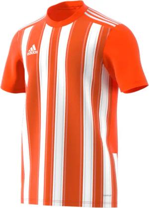 adidas Herren Trikot Striped 21