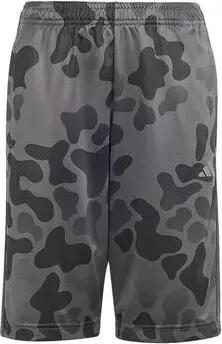 adidas  Shorts Kinder IP3982