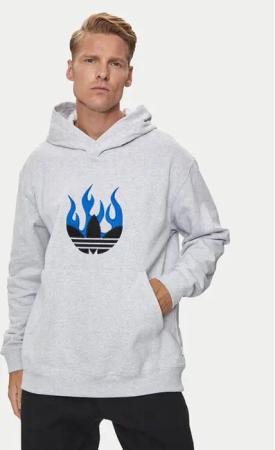 adidas Sweatshirt Flames Logo IS2947 Grau Regular Fit