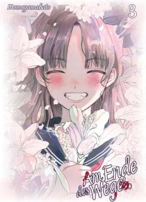 Am Ende des Weges – Band 03 (Abschlussband)