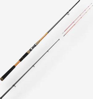 Angelrute Küstenrute Seacoast Light 500 270/2 Multi