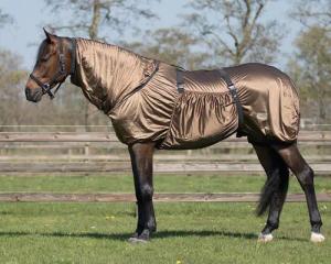 Anti-Ekzem-Decke für Pferde Q-essentials