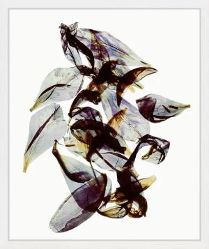 ANY IMAGE Wandbild RHODODENDRON mit Rahmen