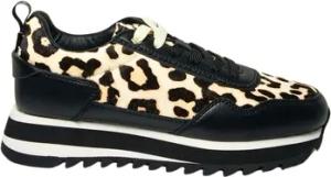 Apepazza  Sneaker f3wish01lel