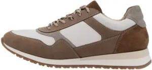 Ara  Sneaker Gino Schnürer 11-26901-28