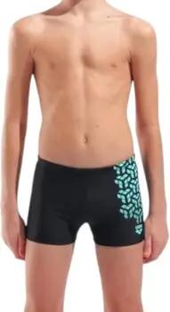 Arena  Badeshorts 006720