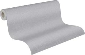 A.S.Creation Vliestapete Terra Uni grau B/L: ca. 53x1005 cm