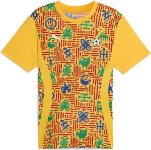 Aufwärmtrikot Ghana CAN 2025