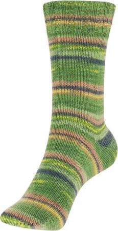 Austermann Haussocken Stricksocken Step EXP 4-fach