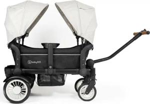 BabyGo Bollerwagen Bollerwagen Zwillingswagen Cozy Rider, Verwendbar ab ca. 1-5 Jahre (2 x 22 kg)