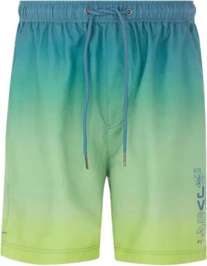 Badeshorts WERENFRIED grün