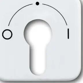 Busch-Jaeger Zentralscheibe aws f.Schlüsselschalter 2557 SLPZ-214-101