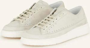Candice Cooper Sneaker TEA