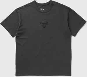 Chicago Bulls Premium Essentials Nike NBA T-Shirt