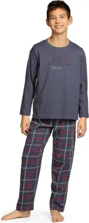 Comte Schlafanzug Iceberg Buddies (Set, 2 tlg., 2-teilig) Jungen Pyjama lang Langarm Baumwolle Karo Winter