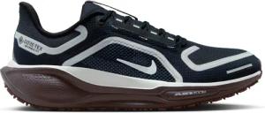 Damen-Laufschuhe Nike Pegasus 41 GORE-TEX