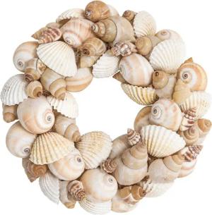 Dehner Dekokranz Sommer-Kranz Muschel, Ø 27 cm, Höhe 5 cm, Kunststoff, natur / weiß, handgefertigter Kranz in Maritim-Look, einseitig gebunden