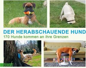 Der herabschauende Hund