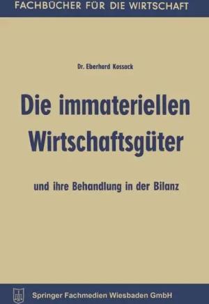 Die immateriellen Wirtschaftsgüter und ihre Behandlung in der Bilanz