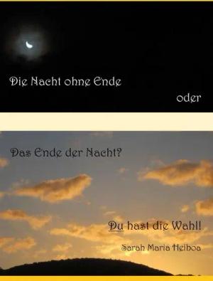Die Nacht ohne Ende oder das Ende der Nacht?