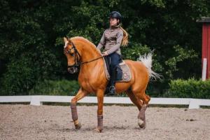 Dressur Schabracke Equestrian Stockholm