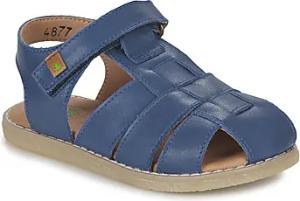 El Naturalista  Sandalen Africa