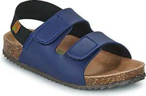 El Naturalista  Sandalen Incognito