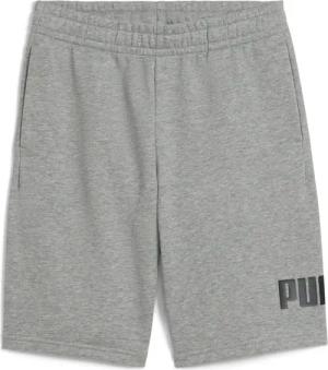 ESS No. 1 Logo Shorts Jungen PUMA