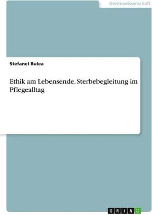 Ethik am Lebensende. Sterbebegleitung im Pflegealltag