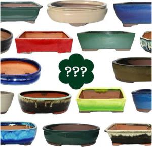 Exotenherz Pflanzschale Bonsai-Schale Größe 4 SONDERPOSTEN Zufallsform/Farbe L ca. 25cm