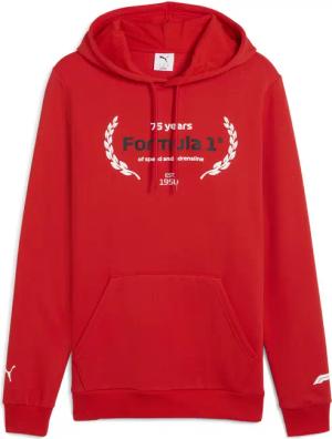 F1® Essentials Logo Graphic Hoodie Herren PUMA
