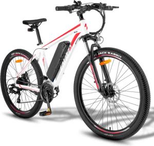 Fafrees F28 MT Elektro-Mountainbike mit 250-W-Motor und 14,5-Ah-Akku