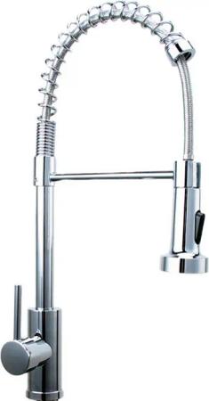 Faizee Möbel Küchenarmatur Armatur Spiral Spiralfederarmatur Brausekopf Wasserhahn Küchenspüle