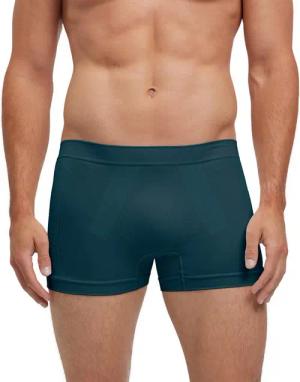 FALKE Funktionsunterhose Warm (1-St., 1) thermoregulierend für warme bis kalte Temperaturen