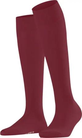 FALKE Kniestrümpfe Cotton Touch (1-Paar) mit sehr feinem Maschenbild