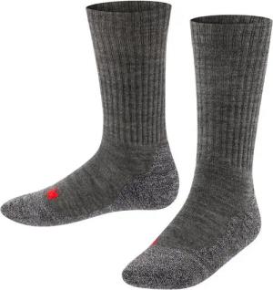 FALKE Socken Active Warm (1-Paar) mit weicher Plüschsohle