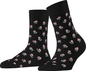 FALKE Socken  COTTON TOUCH black schwarz | 39-42