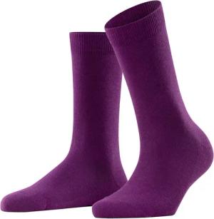 FALKE Socken Family (1-Paar) aus Baumwolle