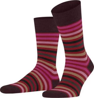 FALKE Socken Tinted Stripe (1-Paar) mit merzerisierter Baumwolle