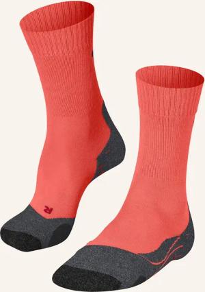 FALKE Trekking-Socken TK2 mit Merinowolle