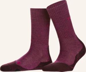 FALKE Trekking-Socken TK2