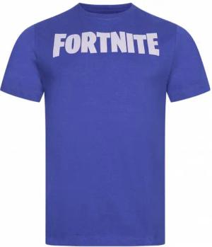 FORTNITE Logo Herren T-Shirt FBMTS742ROY