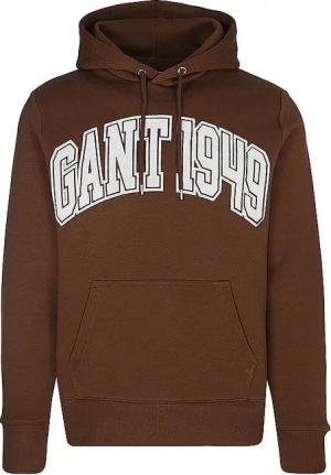 GANT Kapuzensweater - Hoodie braun | XXL