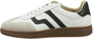 Gant  Sneaker 30633860G020