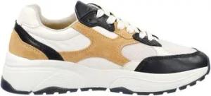 Gant  Sneaker Sneaker