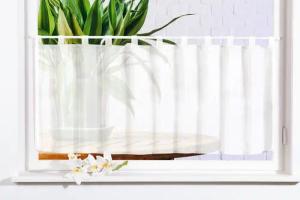 Gardinenbox Scheibengardine, Schlaufen, blickdicht