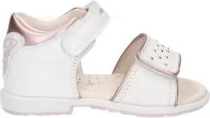 Geox  Sandalen B3521A 08509 B VERRED