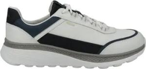 Geox  Sneaker Sneaker