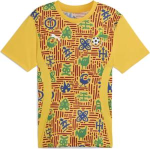 Ghana Aufwärmtrikot Herren PUMA
