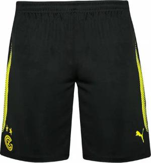 Grasshopper Club Zürich PUMA Shorts 753176-03